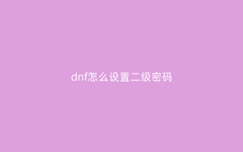 dnf怎么设置二级密码