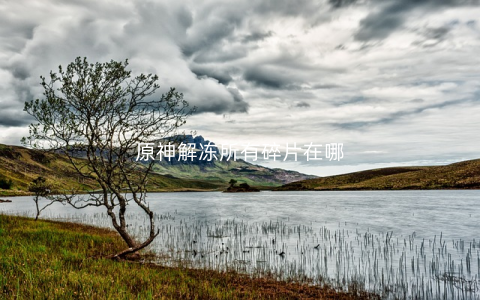 原神解冻所有碎片在哪