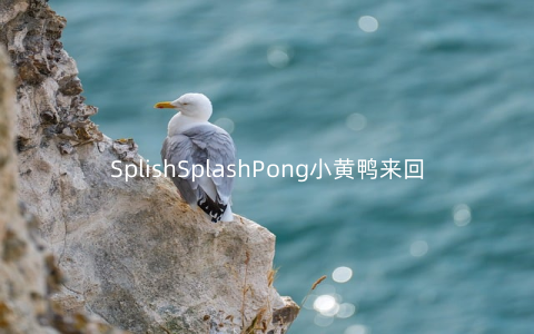 SplishSplashPong小黄鸭来回走1.1安卓版