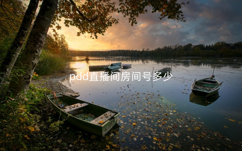 pdd直播间房间号多少