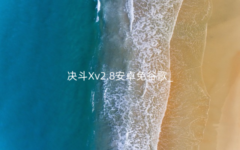 决斗Xv2.8安卓免谷歌_