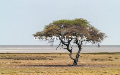 X动漫手游v1.1.0安卓版