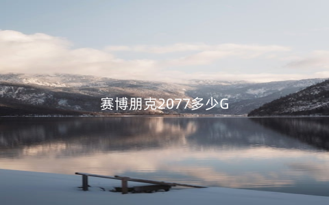 赛博朋克2077多少G