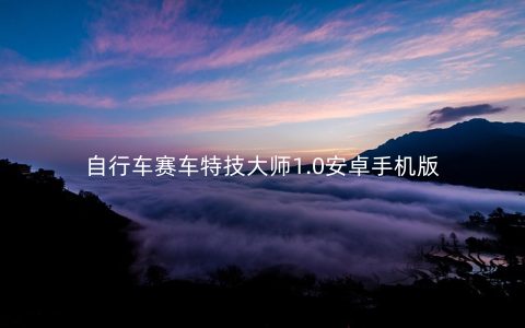 自行车赛车特技大师1.0安卓手机版