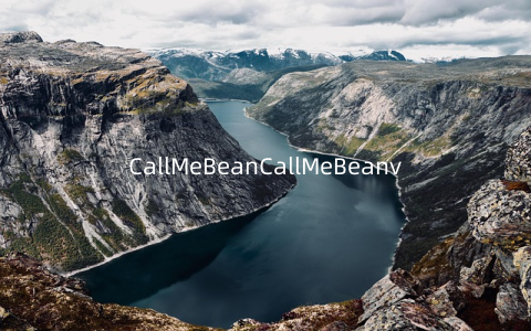 CallMeBeanCallMeBeanv1.0安卓版