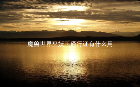 魔兽世界巫妖王通行证有什么用