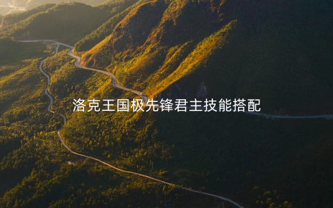 洛克王国极先锋君主技能搭配