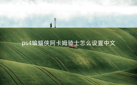 ps4蝙蝠侠阿卡姆骑士怎么设置中文