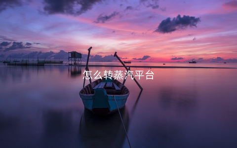 怎么转蒸汽平台