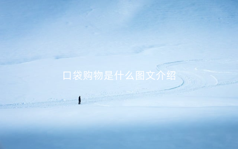 口袋购物是什么图文介绍