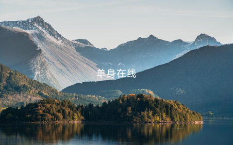 单身在线