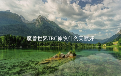 魔兽世界TBC神牧什么天赋好