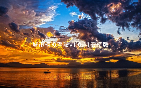 城市模拟驾驶v1.0.11安卓版