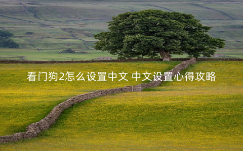 看门狗2怎么设置中文 中文设置心得攻略