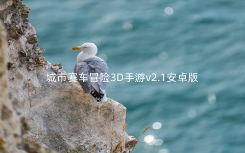 城市赛车冒险3D手游v2.1安卓版