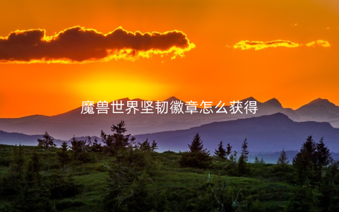 魔兽世界坚韧徽章怎么获得