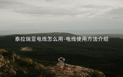 泰拉瑞亚电线怎么用-电线使用方法介绍