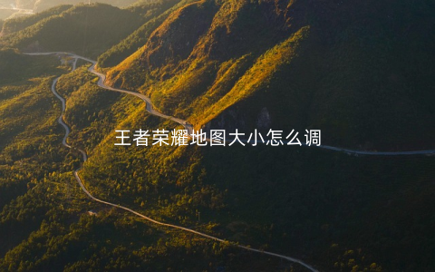 王者荣耀地图大小怎么调