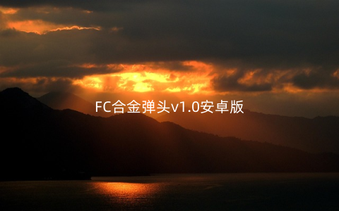 FC合金弹头v1.0安卓版