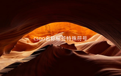 csgo名称标签特殊符号