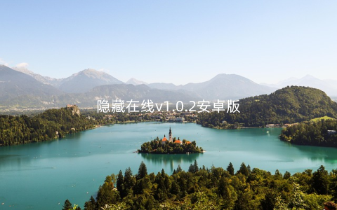 隐藏在线v1.0.2安卓版