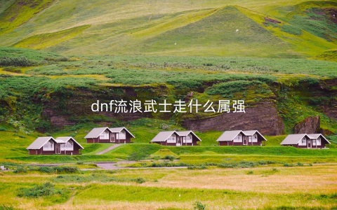 dnf流浪武士走什么属强