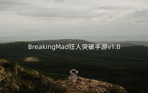 BreakingMad狂人突破手游v1.0安卓版_