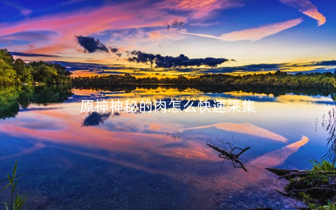 原神神秘的肉怎么快速采集