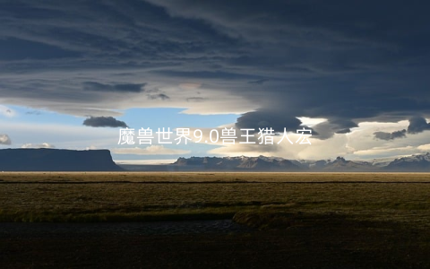 魔兽世界9.0兽王猎人宏