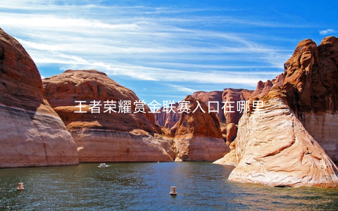 王者荣耀赏金联赛入口在哪里
