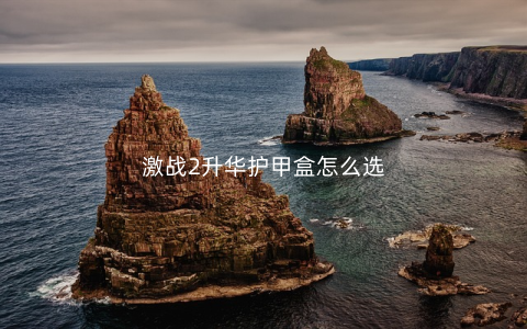 激战2升华护甲盒怎么选