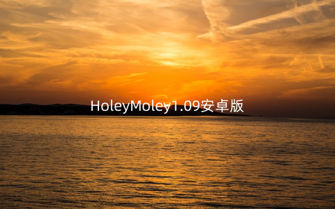 HoleyMoley1.09安卓版