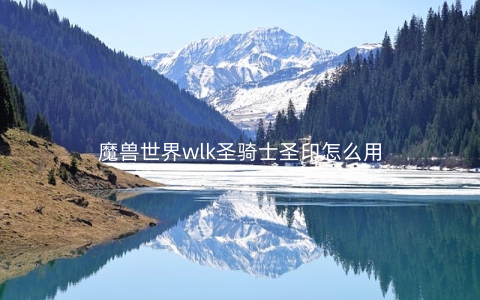 魔兽世界wlk圣骑士圣印怎么用