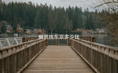 幽灵线东京多少钱