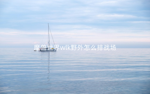 魔兽世界wlk野外怎么排战场