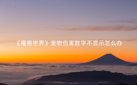 《魔兽世界》宠物伤害数字不显示怎么办
