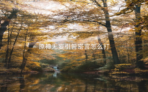 原神无妄引咎密宫怎么打