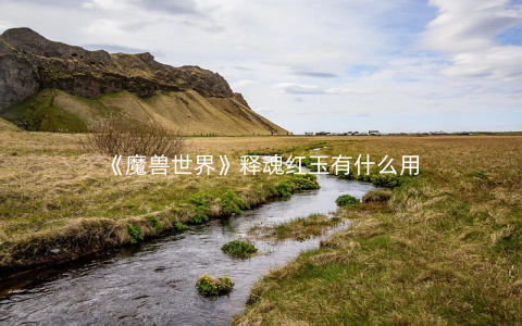 《魔兽世界》释魂红玉有什么用