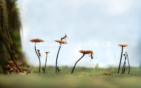 StickmanRacerJump火柴人赛车手1.0安卓版