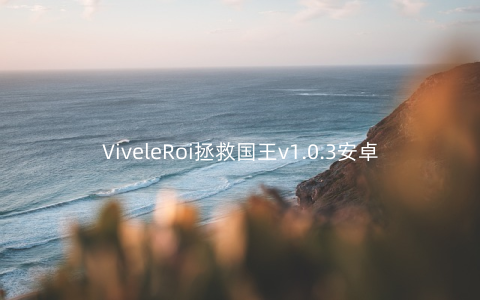 ViveleRoi拯救国王v1.0.3安卓版