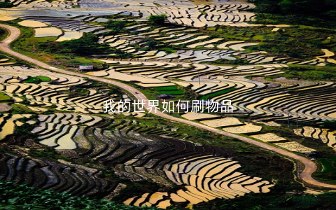 我的世界如何刷物品