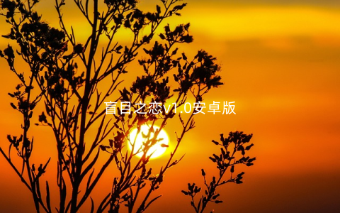 盲目之恋v1.0安卓版
