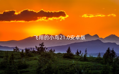 飞翔的小鸟21.0安卓版