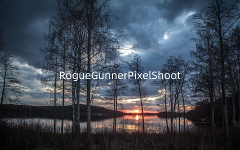RogueGunnerPixelShooting1.0.7安卓版