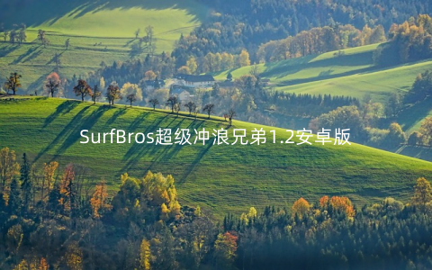SurfBros超级冲浪兄弟1.2安卓版