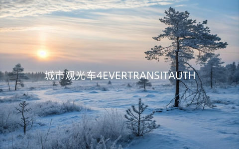 城市观光车4EVERTRANSITAUTHORITYV1.4.4安卓版