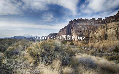 Simon’sCat西蒙的猫v1.10.1安卓版