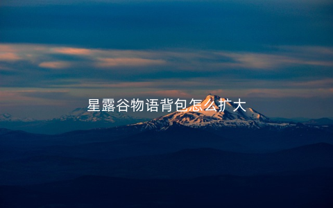 星露谷物语背包怎么扩大