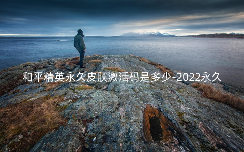 和平精英永久皮肤激活码是多少-2022永久皮肤激活码大全