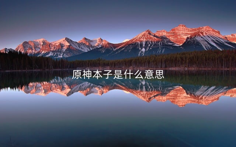 原神本子是什么意思